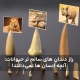 راز دندان‌ های سالم‌ تر حیوانات: آنچه انسان ‌ها نمی‌دانند!